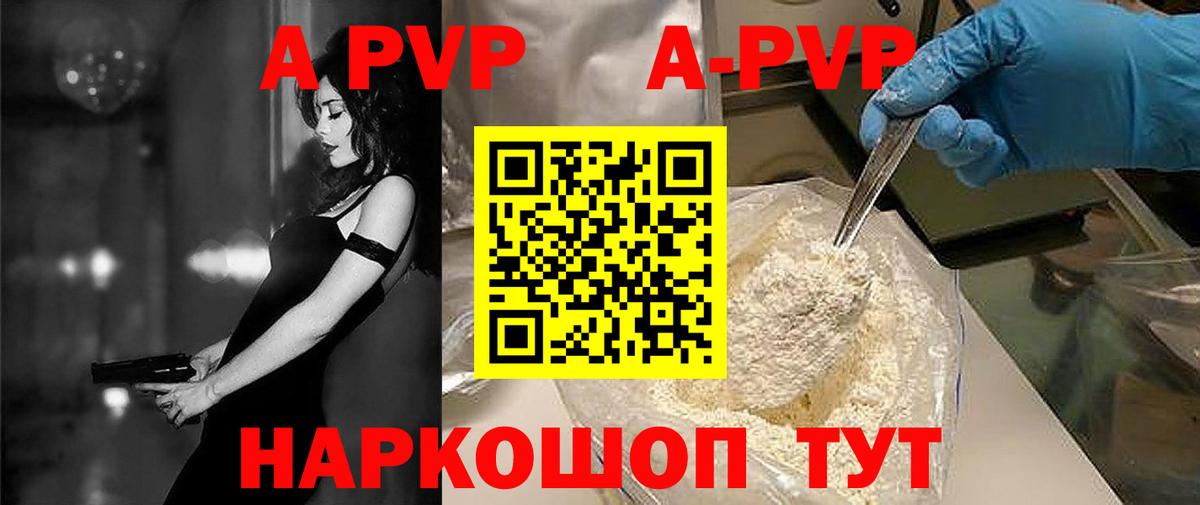 Alfa_PVP СК Сунжа