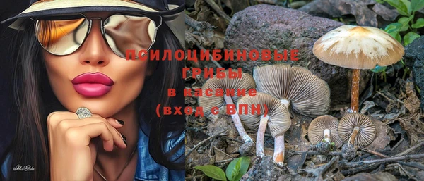 не бодяженный Лабытнанги