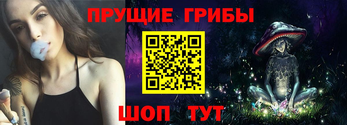 Псилоцибиновые грибы прущие грибы Сунжа