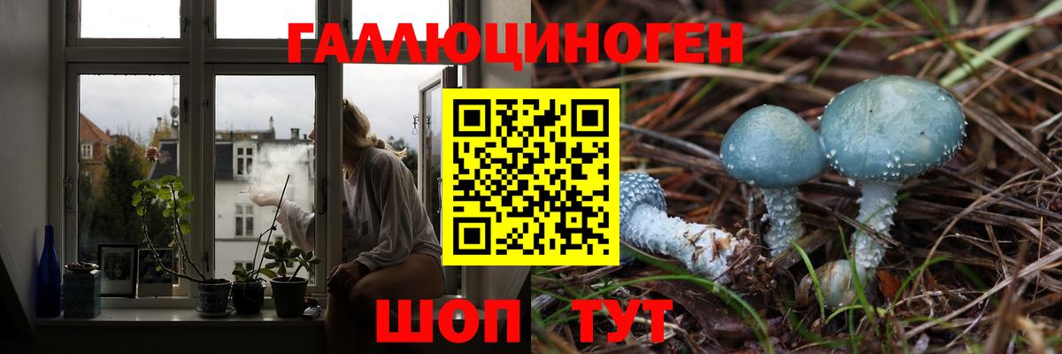 Галлюциногенные грибы мицелий  Галлюциногенные грибы Psilocybine cubensis  Сунжа 