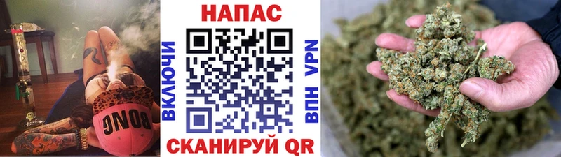 закладка  МЕГА как зайти  Конопля тримм  Сунжа 